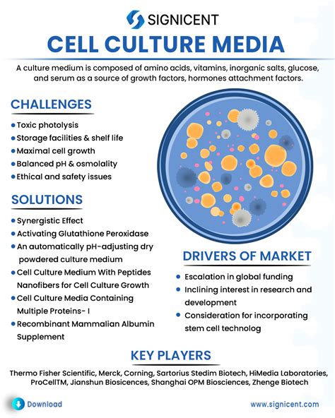 Top 187+ Preparation of animal cell culture media and sterilization ...