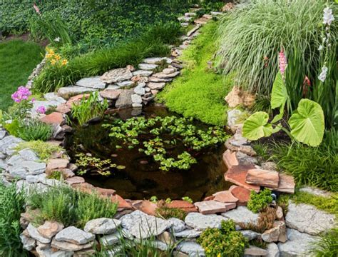 7 Amazing Garden Pond Ideas To Add To Your Landscape - Backyard Boss