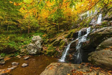 Shenandoah National Park Waterfalls | The Complete Guide - TMBtent