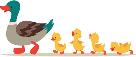 Mother Duck And Ducklings Cute Baby Ducks Walking In Row Cartoon Vector ...