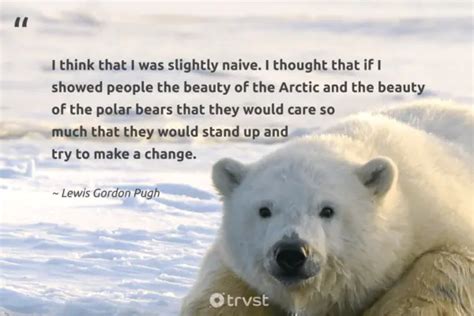 22 Polar Bear Quotes about the King of the Arctics