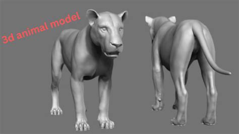 Model, rig, and animate 3d photorealistic animal, 3d animal modeling, 3d model by Yuskid1_studio ...