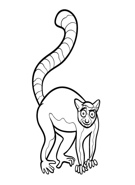 Funny Lemur coloring page - Download, Print or Color Online for Free