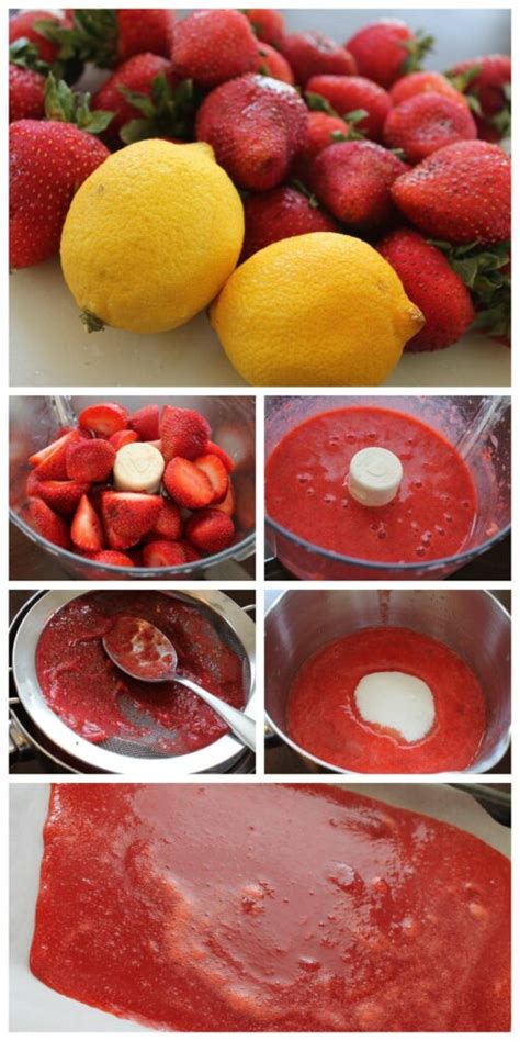 Fruit Roll Ups Recipe - Passion for Savings