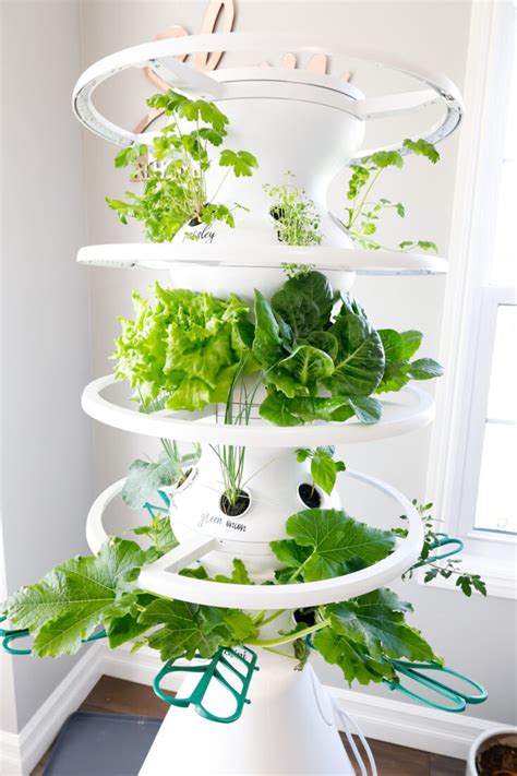 Indoor Vertical Garden 2 Week Check In - Lettuce Grow Farmstand