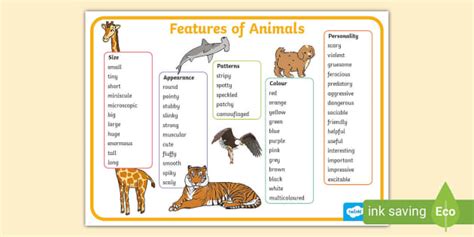 Features of Animals Word Mat - Twinkl - Literacy Resources