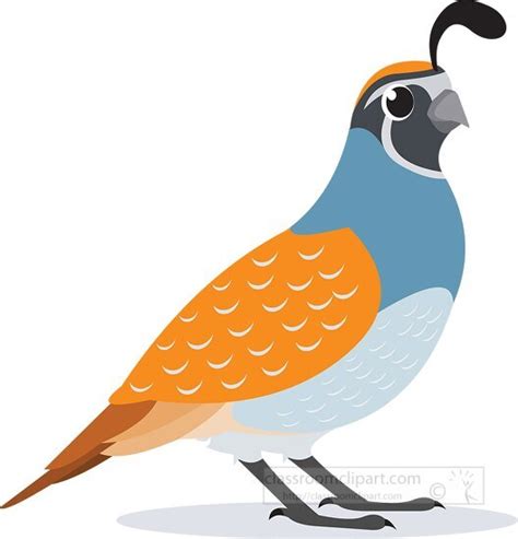 Bird Clipart-quail bird clipart