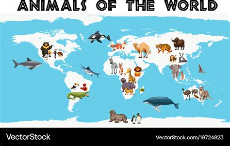 Different types of animals around the world Vector Image