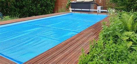 Mustard Algae In Pool: Causes, Prevention, And Treatment