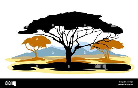 African savannah landscape. Silhouette picture. Africa acacia tree ...