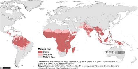 Malaria - Anthropology | Binghamton University