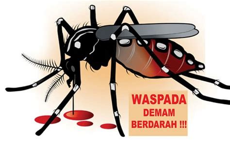 Lukisan Kartun Gambar Nyamuk Aedes / Kartun Nyamuk Png Pngwing - Paige Carslaw