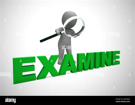 Examine or study concept icon meaning evaluating or taking a look at ...