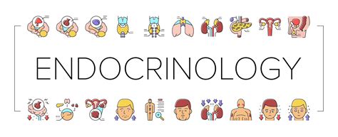 Endocrinology Medical Disease Icons Set Vector 18992910 Vector Art at ...