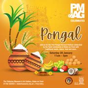 Thai Pongal Festival