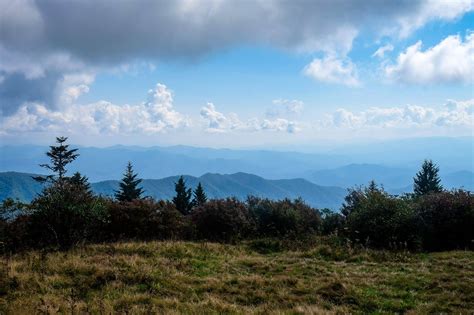 Hike the Andrews Bald Trail from Clingmans Dome