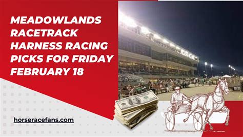 Meadowlands Racetrack Harness Racing Picks For Friday February 18 : r/HorseBetting