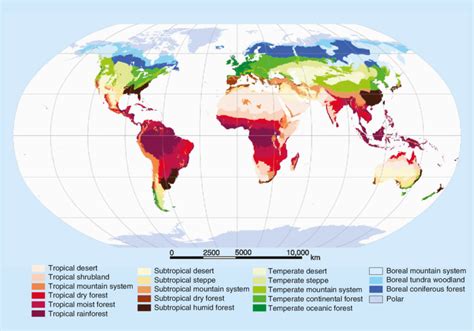 The FAO Global Ecological Zones recognize five major domains and 20... | Download Scientific Diagram