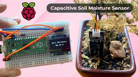 divorcio fuente datos soil moisture sensor raspberry pi fe nuestra Obsesión