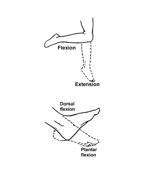 Figure 2-19. Range-of-motion exercises for the knee. - Basic Patient ...