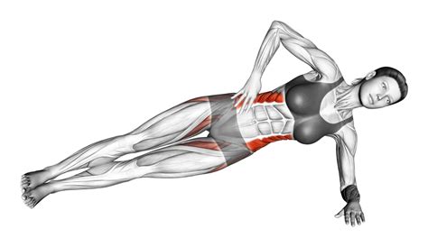 Planks: Benefits, Muscles Worked, and More - Inspire US