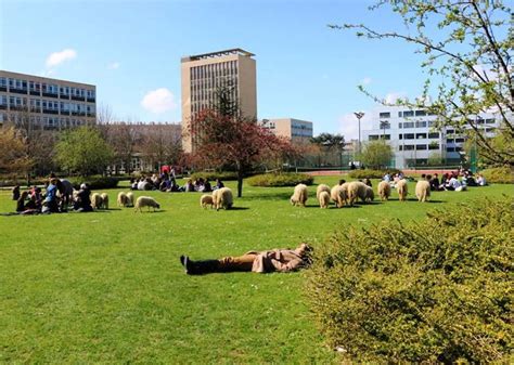 Travaux de performance énergétique à l’Université de Paris-Nanterre