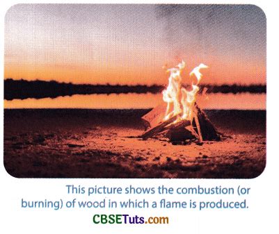 What is Combustion? - Definition and Examples - CBSE Tuts