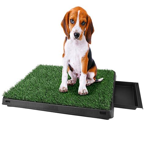 Best Dog Potty Grass | All Pet Cages