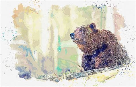 Grizzly Bear, watercolor by Adam Asar Painting by Celestial Images ...