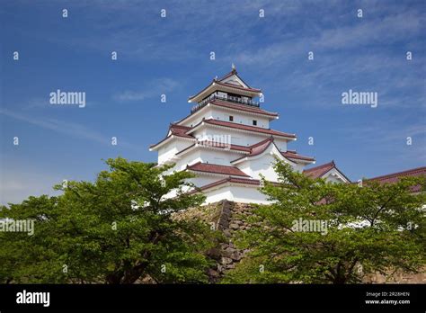 Fresh green and Tsuruga castle Stock Photo - Alamy