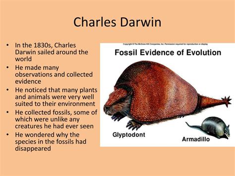 PPT - Ch 15 “Darwin’s Theory of Evolution” PowerPoint Presentation - ID:6813068