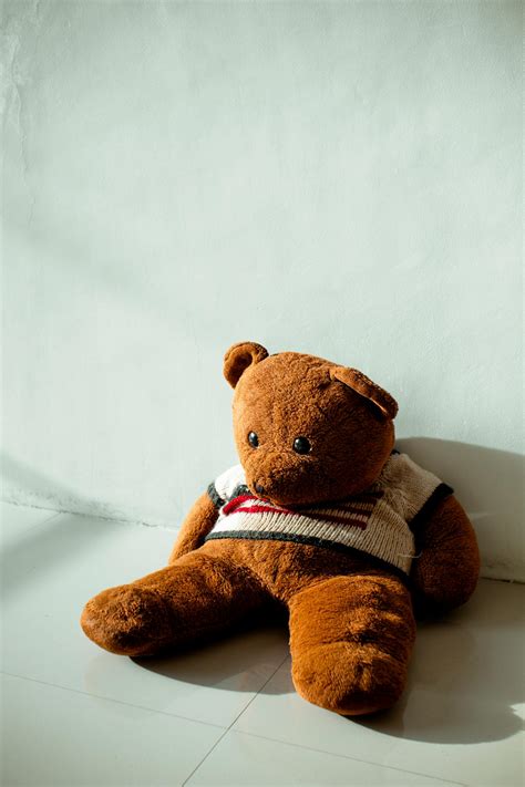 Brown Bear Plush Toy · Free Stock Photo