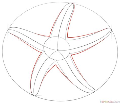 How to draw a starfish | Step by step Drawing tutorials | Starfish ...