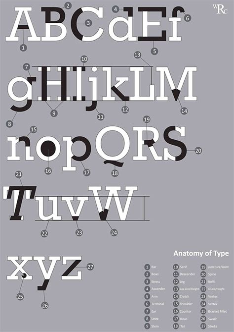 Font Anatomy - Anatomical Charts & Posters