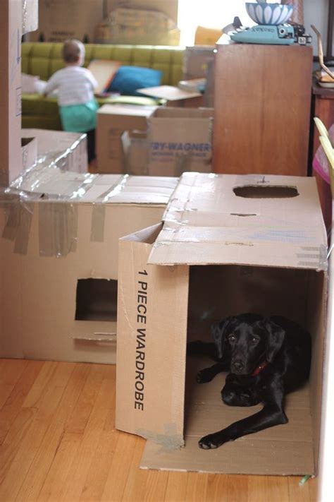 Indoor cardboard box fort/maze = fun and a bit of distraction for kids if you need to get some ...