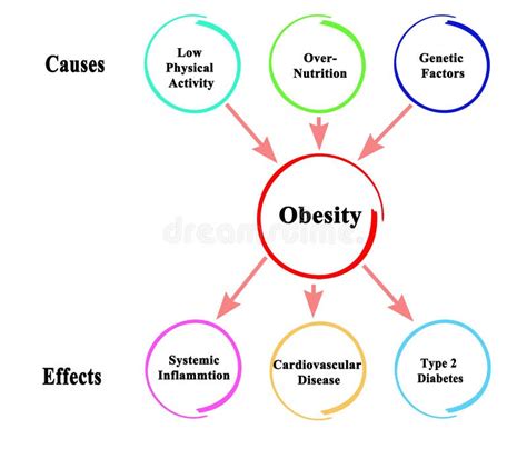 Obesity Diagram Stock Illustrations – 544 Obesity Diagram Stock ...