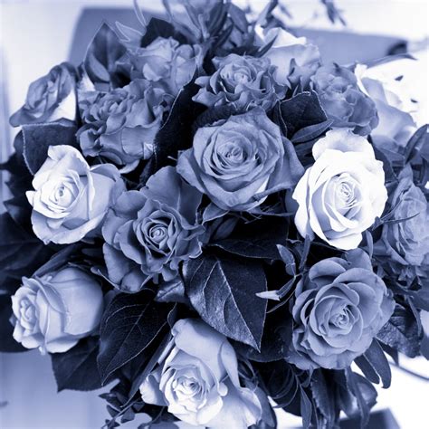 Blue Flowers | Beautiful flowers at the wedding of a friend | Matthias ...