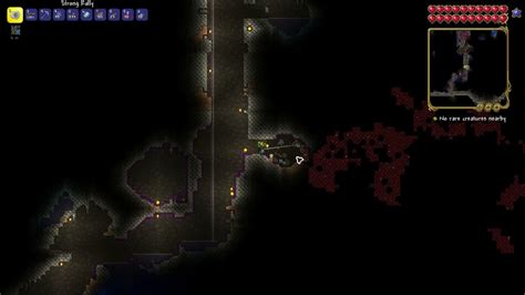 Great way to locate Spider Biomes - Terraria 1.4.3.2 - YouTube