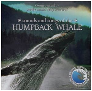 Gentle Persuasion - Sounds & Songs of the Humpback Whale - Amazon.com Music