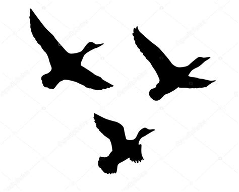 Flying duck tattoo | Vector silhouette flying duck on white background ...