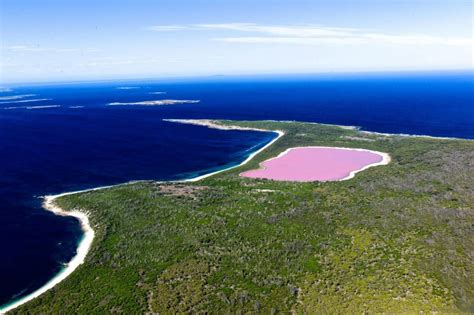 Lake Hillier, In Western Australia 'Pink Color Water' | Found The World