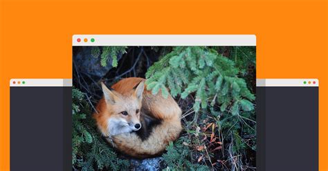 The Firefox Browser Settings You Should Tweak Right Now | WIRED