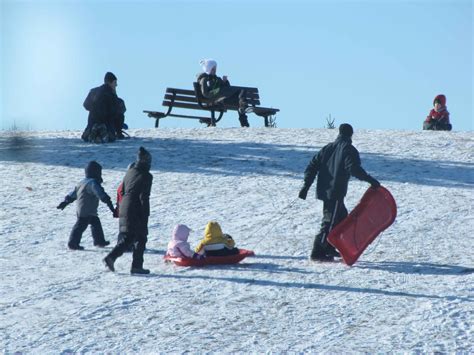 Centennial Park Designated Toboggan Hill Area - Toronto, Ontario