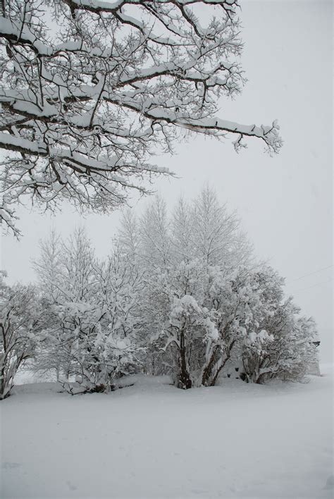 Vermont | Winter landscape, Winter scenes, Vermont winter