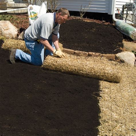 Buy EZ Straw Grass Seed Germination and Erosion Control Blanket - 4ft. x 50ft. (200 sq. ft ...