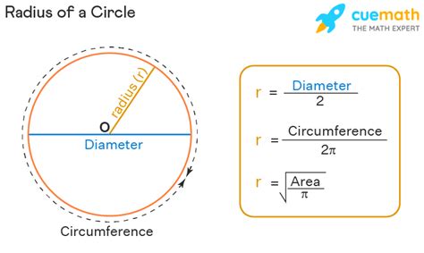 Parts of a Circle - Definition, Formulas, Examples