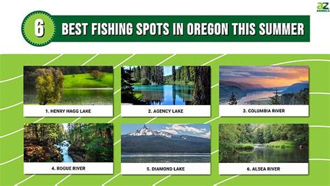 The 6 Best Fishing Spots in Oregon This Summer - A-Z Animals