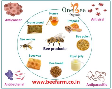 Do you know about Honeybee Products - Bee products and its benefits