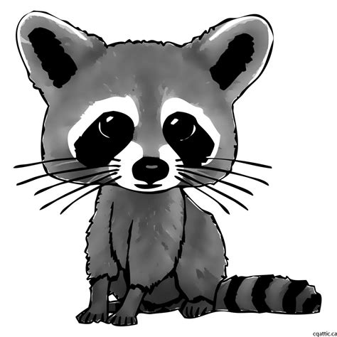 Simple Raccoon Drawing | Free download on ClipArtMag