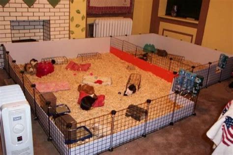 I would like to make a Guinea pig cage like this, but I don't know ...